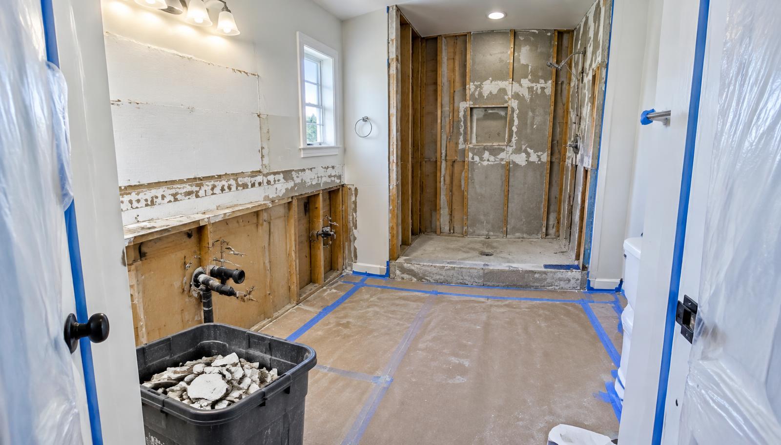 Bathroom Demolition work area
